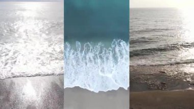 Deniz kıyısının yakınındaki bir videoda üç tane.