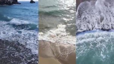 Deniz kıyısının yakınındaki bir videoda üç tane.