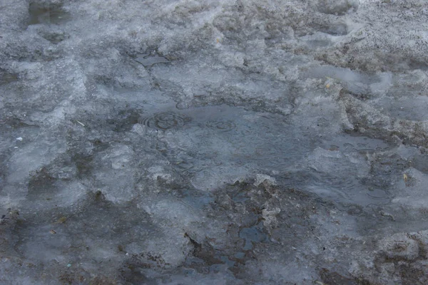 배경이 뚜렷하지 않아서 얼어붙은 웅덩이에서 얼음을 얼어붙은 조각이 있습니다 얼음은 — 스톡 사진