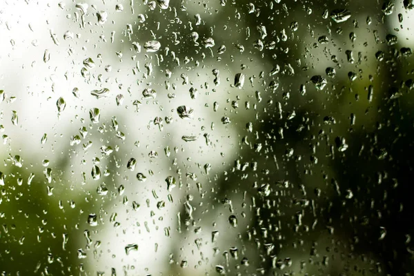 以模糊树为背景的窗上雨滴 — 图库照片