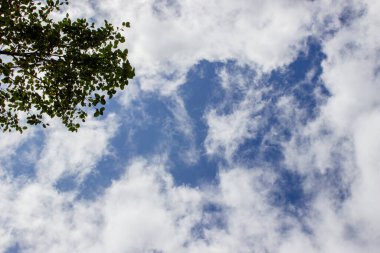 beautiful blue sky with cirrus white clouds. photo with place for text