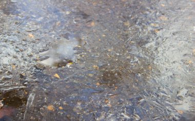 Su birikintisi buzla kaplı. Sabahları su birikintileri. dondurucu