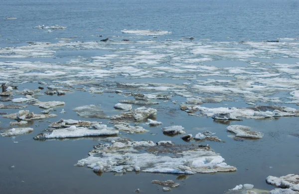 ice drift on the river. ice floats along the river. spring is coming.