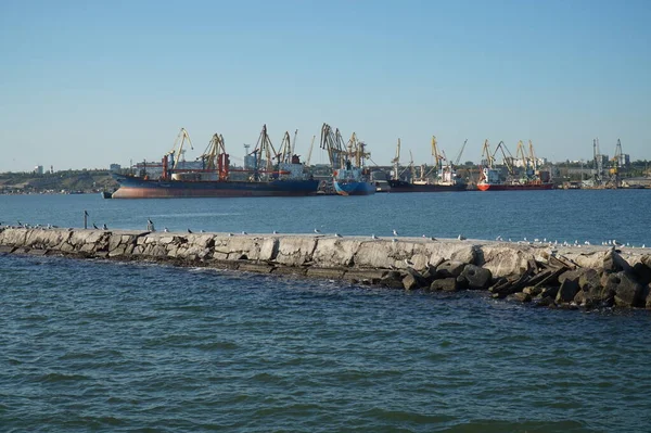 Gemiler Berdyansk Limanında Bir Dalgakıran Tarafından Korunuyor — Stok fotoğraf