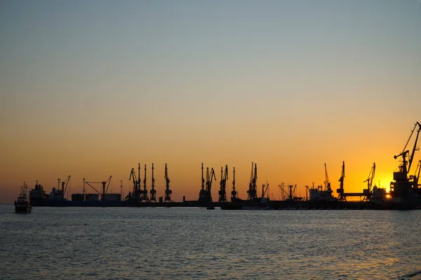 Sylwetki Żurawi Statków Przed Zachodzącym Słońcem — Zdjęcie stockowe