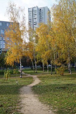 Dinyeper şehrindeki sonbahar parkı.
