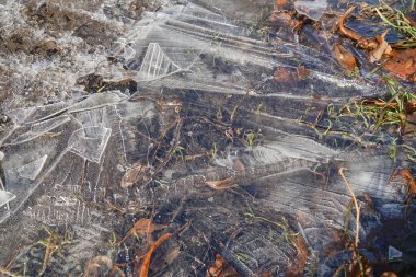 Düşen yapraklardaki çatlamış buzun arka planı