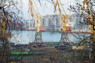 Shevchenko Parkı 'nın gözlem güvertesinden Odessa limanının görüntüsü.