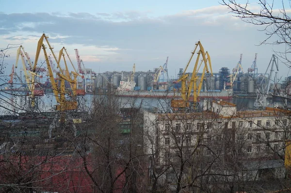 View Odessa Port Observation Deck Shevchenko Park — Stock Photo, Image