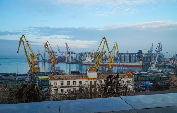 Shevchenko Parkı 'nın gözlem güvertesinden Odessa limanının görüntüsü.