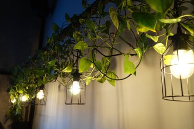 Fenerlerden yapılmış güzel bir kafe dekorasyonu..