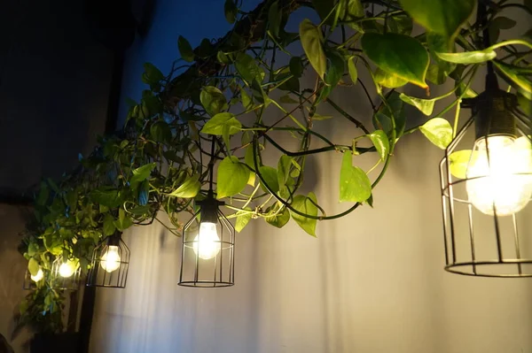 Fenerlerden yapılmış güzel bir kafe dekorasyonu..