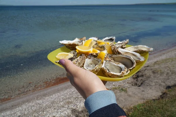 Girl Holds Plate Fresh Oysters Her Hands Background Water —  Fotos de Stock