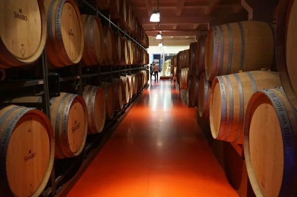 Бочки Зберігання Вина Підвалах Виноробства Шабо — стокове фото