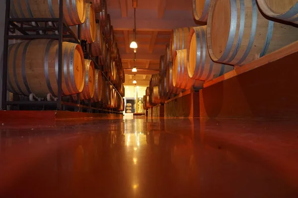 Бочки Зберігання Вина Підвалах Виноробства Шабо — стокове фото