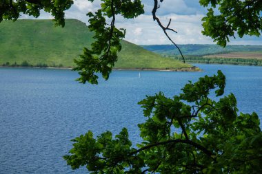 Bakota rezervinin dallar arasındaki görüntüsü.