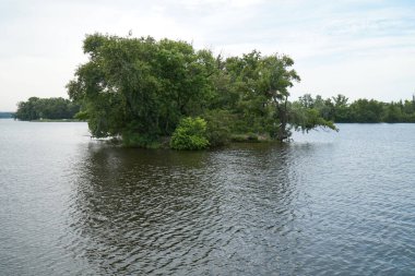 Nehrin ortasında ağaçlarla kaplı küçük bir ada..     