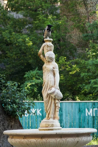 Fuente Frente Instituto Radomanov Kiev Cuervo Sienta Cabeza Estatua — Foto de Stock