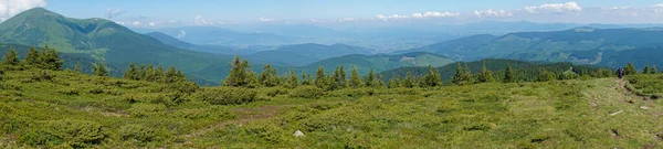 Vue Sur Les Montagnes Vertes Des Carpates Sur Chemin Mont — Photo