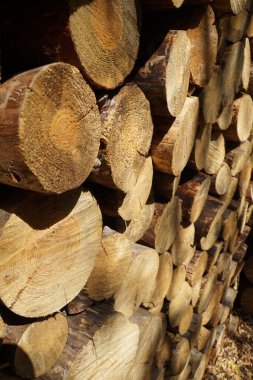 Duvar ağaç kesimlerinden yapılmıştır.)