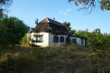    Orta Ukrayna 'da eski bir sazdan çatı altında bir kulübe.                             