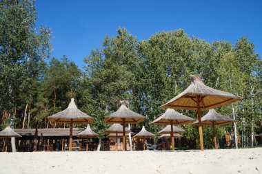 Suyun kenarındaki huş ağaçlarındaki samanlardan ya da sazlıklardan yapılmış şemsiyeler