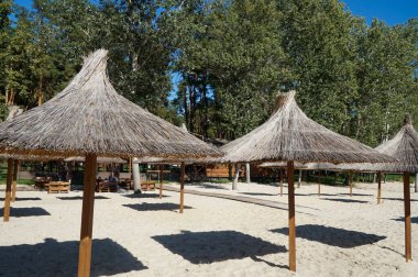 Suyun kenarındaki huş ağaçlarındaki samanlardan ya da sazlıklardan yapılmış şemsiyeler