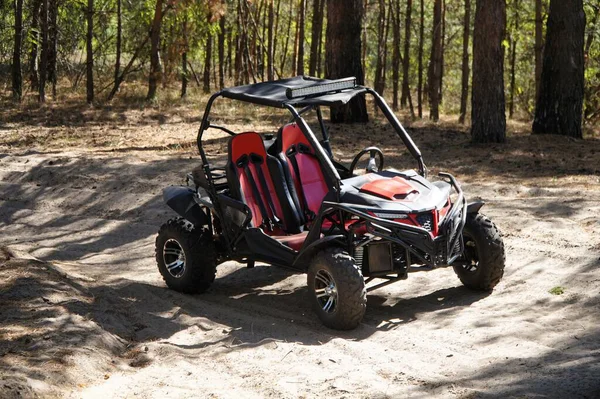 Çam ormanının ortasında kumda araba sürmek için bir at arabası..