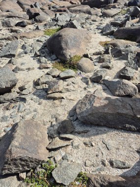 Nehir kıyısında güzel granit taşlar