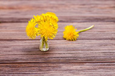 Küçük bir buket sarı çiçek karahindiba vazonun içinde ahşap bir arka planda. Mevsimlik konsept, bahar. Düz konum, kopyalama alanı, metin için yer.