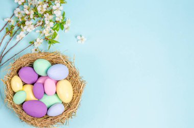 Mavi arka planda bir yuvada renkli Paskalya yumurtaları. Mevsim kavramı, bahar, kartpostal, tatil. Düz konum, kopyalama alanı, metin için boşluk. Yukarıdan görüntüle
