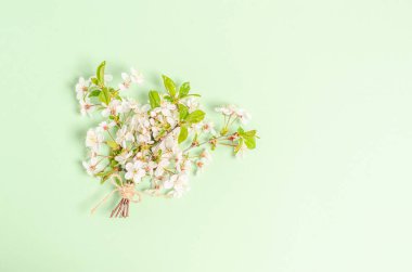 Yeşil arka planda çiçek açan kiraz dallarından oluşan bir buket ve yazı için bir yer. Kartpostal, pankart ve fotokopi için boş bir yer. Üst görünüm,