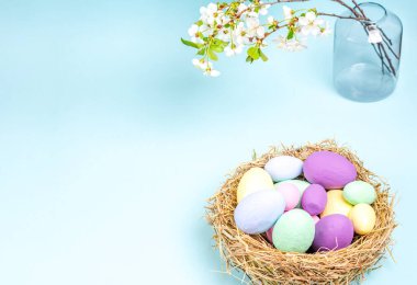 Mavi arka planda vazoda çiçek açan kiraz dalları olan çok renkli Paskalya yumurtaları. Mevsim kavramı, bahar, kartpostal, tatil. Düz konum, kopyalama alanı, metin için boşluk. Yakın plan..