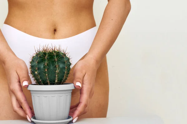 Niña Sostiene Cactus Grande Ingle Zona Del Bikini Concepto Higiene — Foto de Stock