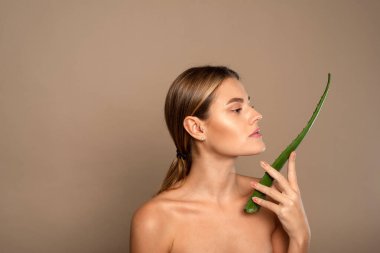 Esmer bir kızın mükemmel yüzü ve bej arka planda yeşil bir aloe. Cilt nemlendirici.