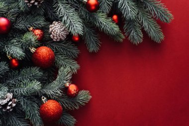 Noel kırmızı süslemeleri, kırmızı arka planda köknar dalları. Düz yatıyordu. Doğal Noel konsepti. Düz konum, üst görünüm, kopyalama alanı