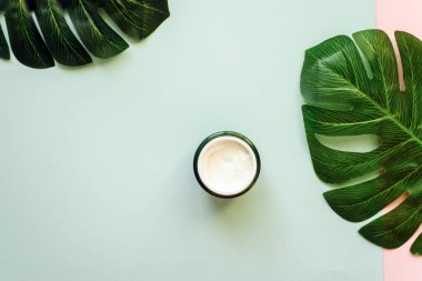 Pastel pembe ve mavi arka planda yüz kremi ve palmiye yaprakları. Tropik spa konsepti.