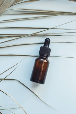 Palmiye yaprağının arka planında nemlendirici serum var. Mavi pastel arka plan. Reklam şablonu, blog. Cilt bakımı kavramı.