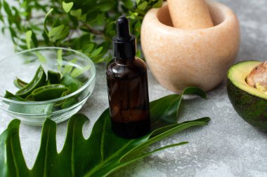 Aloe vera, ceviz, avokado ve palmiye yaprağının yanında yüz serumu. Profesyonel cilt bakımı, doğal kozmetik konsepti.