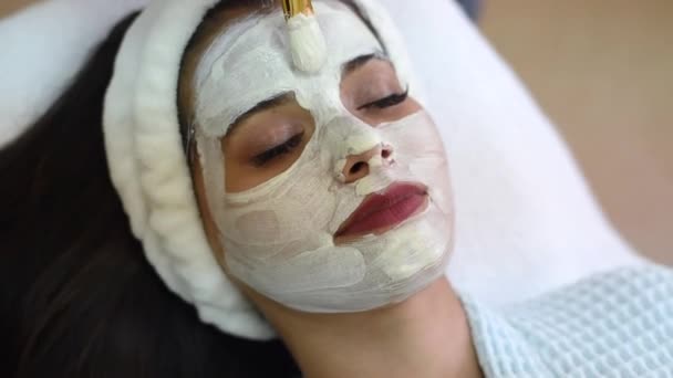 Tratamiento de belleza Spa, cuidado de la piel. Mujer recibiendo cuidado facial por esteticista en el salón de spa. Joven cosmetólogo aplicando mascarilla facial por cepillo en spa — Vídeos de Stock