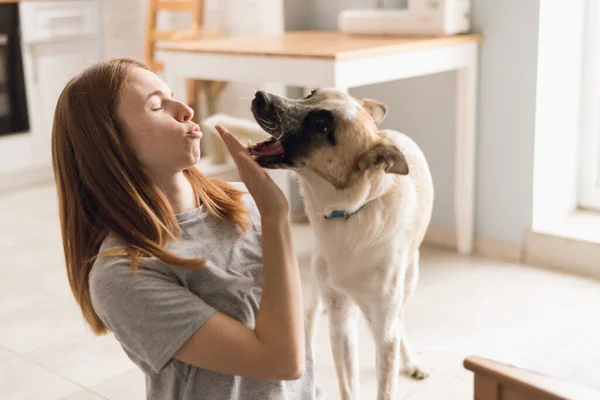 家で犬と抱き合って笑っている赤毛の女性。家にモングレルを避難させろ。ライフスタイル — ストック写真