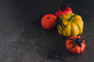 Siyah arka planda cadılar bayramı süsleri. Dekoratif turuncu balkabakları ve örümcekler. Cadılar Bayramı konsepti Boşluğu kopyala