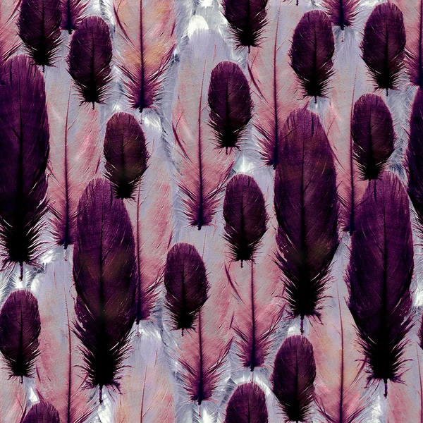Fond 3d, motif sans couture avec plumes — Photo