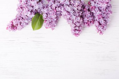 Beyaz ahşap arka planda leylak dallar, leylak dallardan yapılmış bir çerçeve. test için yer