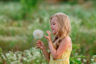 Tarlada karahindiba taşıyan tatlı küçük kız. 