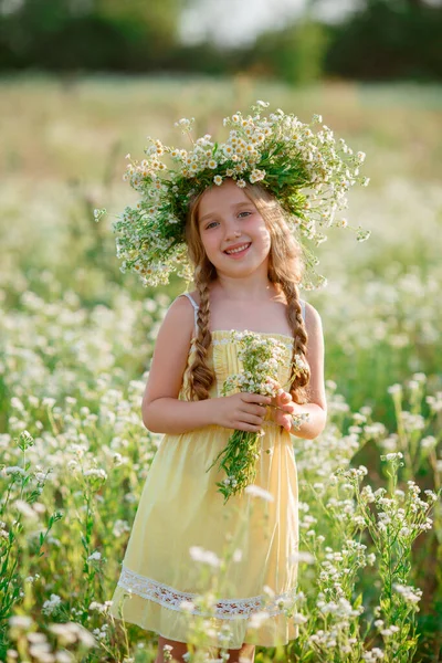 Mooi Meisje Poseren Het Veld Dragen Bloem Krans — Stockfoto