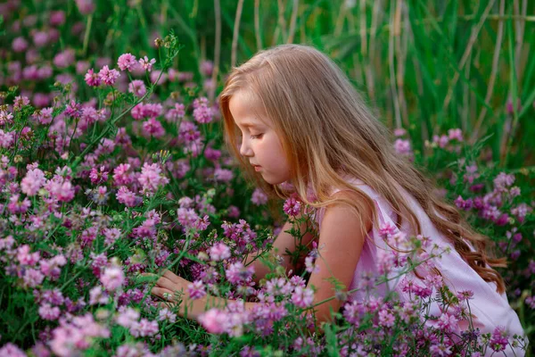 Portret Dziewczyny Łące Kwiatami — Zdjęcie stockowe