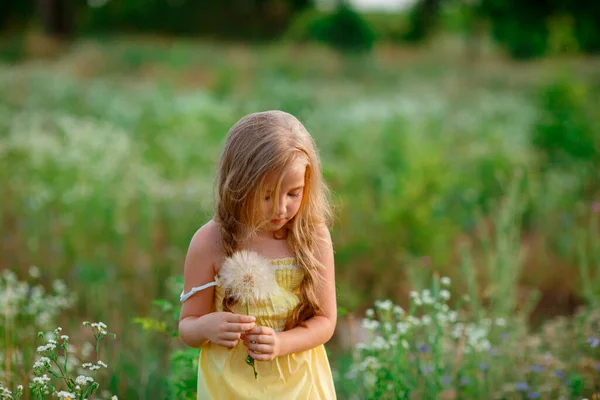 Милая Маленькая Девочка Одуванчиком Поле — стоковое фото