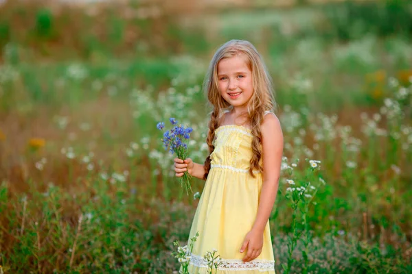 Schattig Klein Meisje Het Gras Poseren Met Wilde Bloemen — Stockfoto