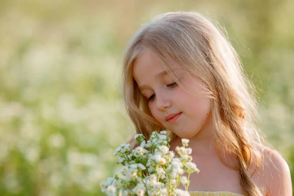 Cute Little Girl Zbieranie Kwiatów Polu — Zdjęcie stockowe